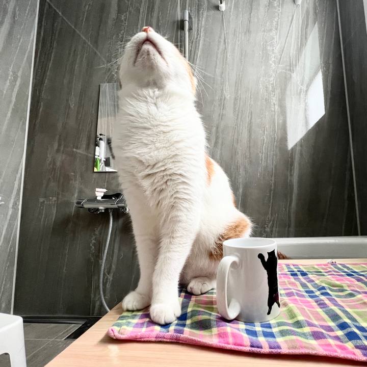 187f2043 8fb0 4a5b a2ea c3a36aac9619 1760228996018