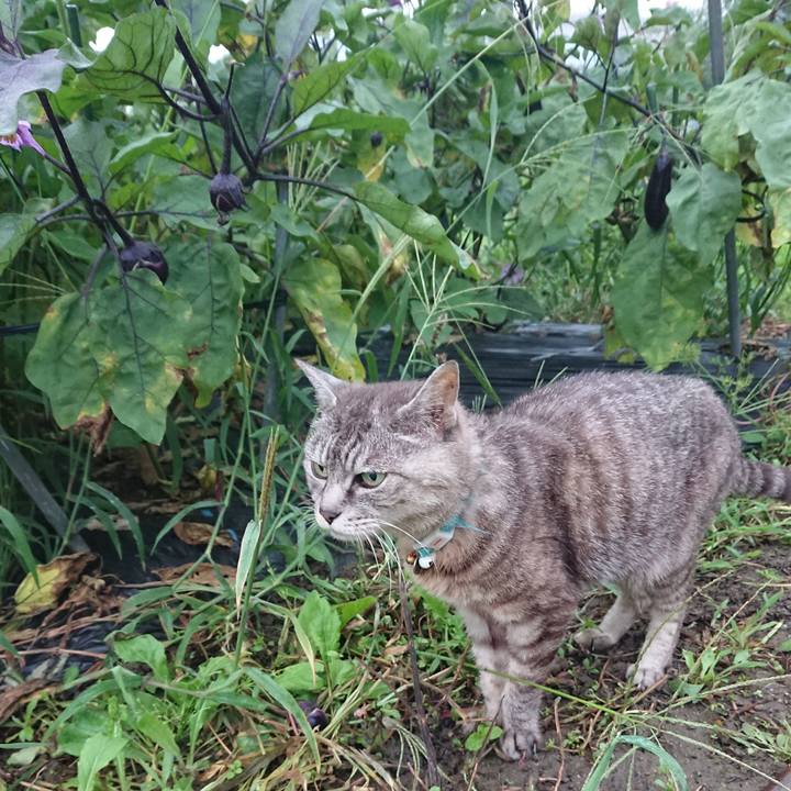 187f215a 0703 4558 aaa1 b13e51fed1b8 1567716262844