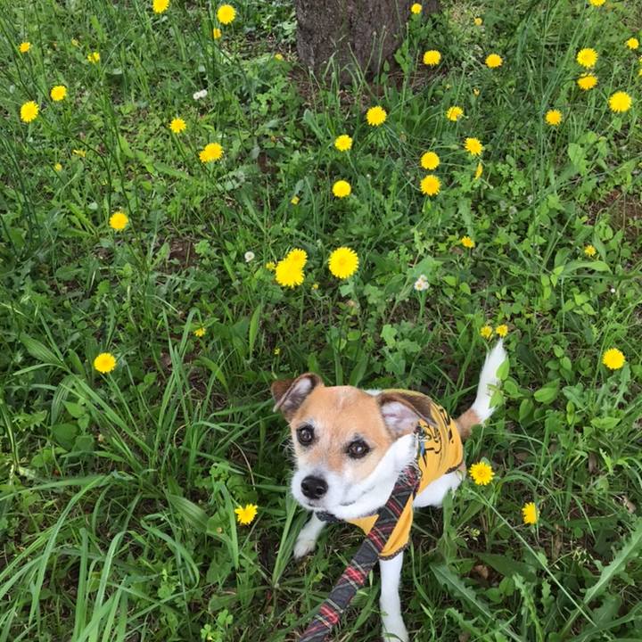 187f2fc7 b11b 481b 8512 91f501945f7b 1558143008023