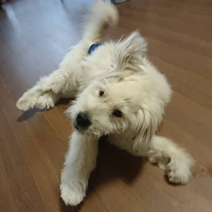 187f335b 21b6 43f6 b134 1164dc0675c4 1602059073065