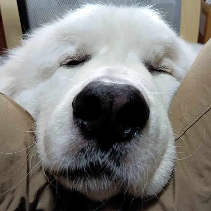 187f4199 76de 44bc 956b 63bd41d3e450 1719195704458