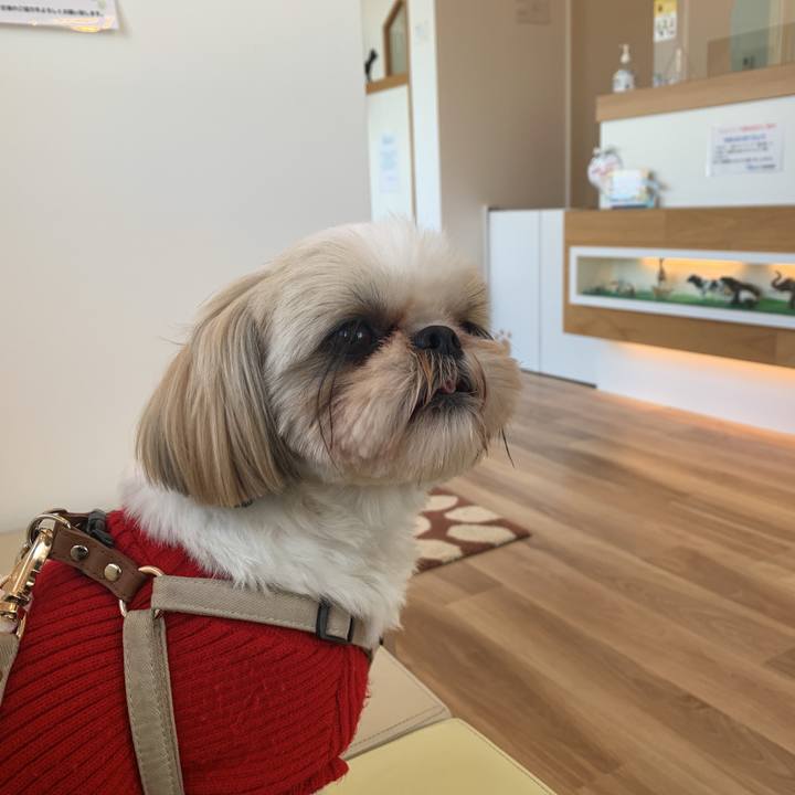 187f4aa3 09cd 4e99 ab03 067313bd53aa 1645267971975