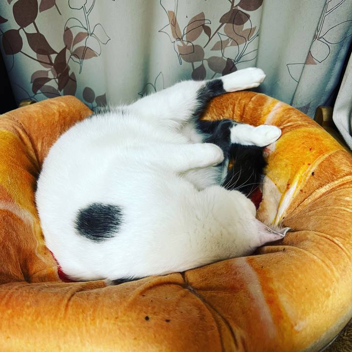 187f8782 6a01 4e5c bc6f 55c959b22108 1669312275545