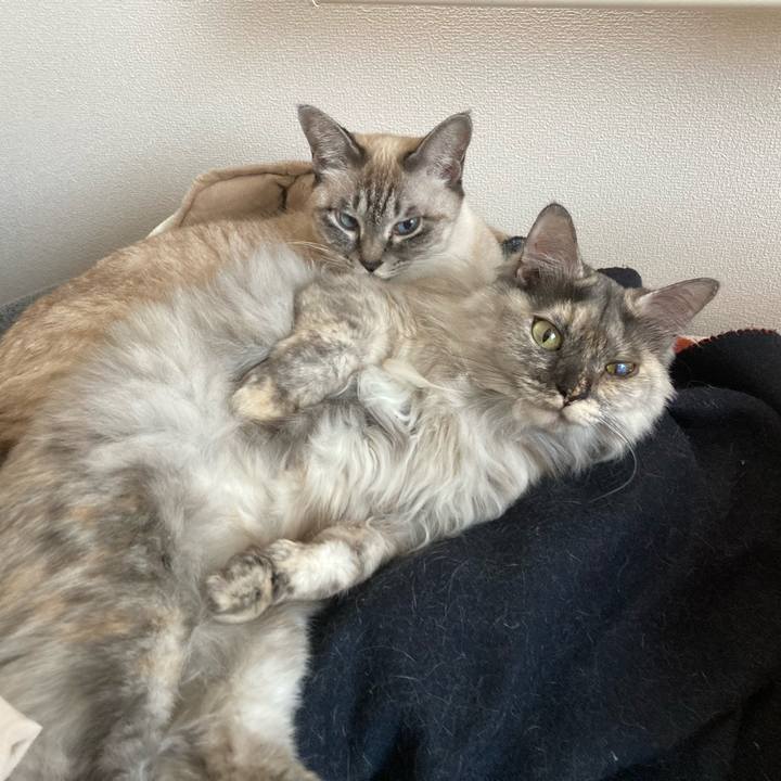 187f8b37 29e8 42a2 bbc0 72cedd26488f 1766467551877