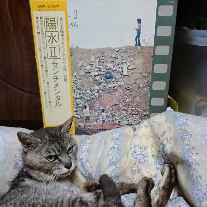 187fdf4b 57e8 4c42 8af9 d3f3d333f69c 1593779388533