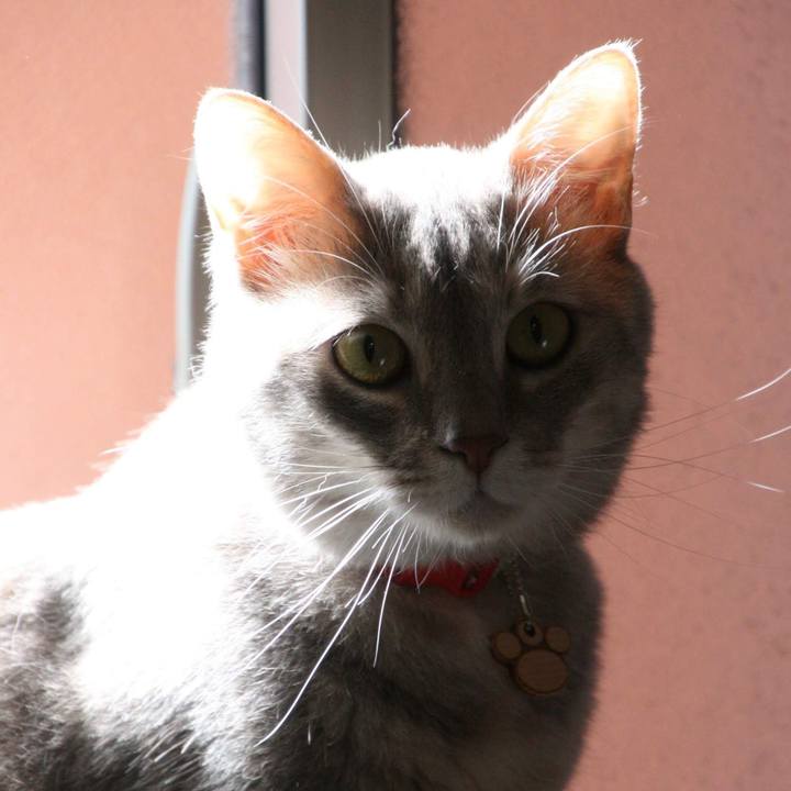 187fe020 6753 48bb aad9 1650a5750a5e 1558419917740