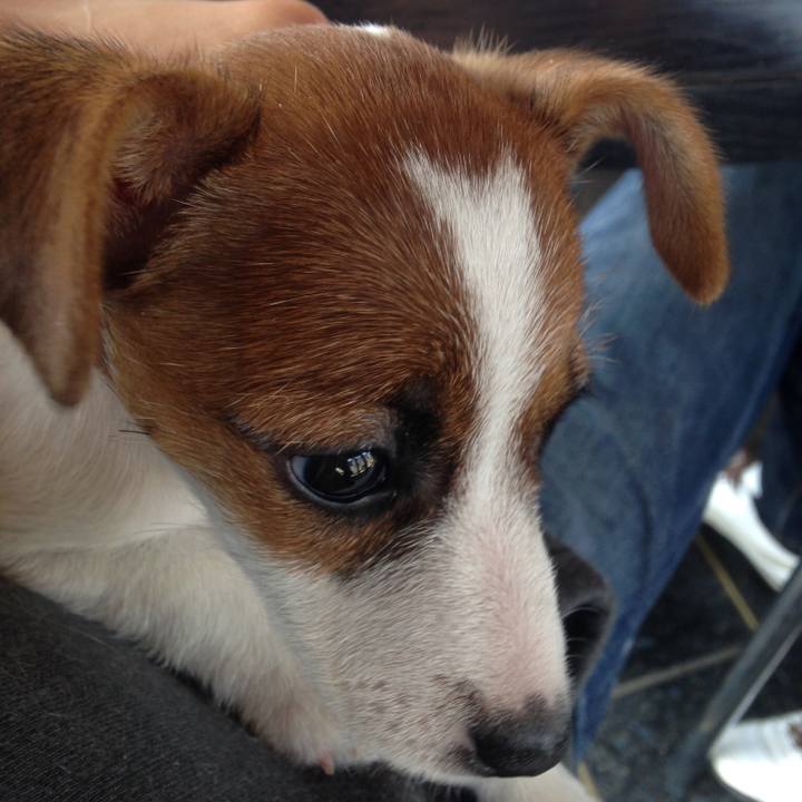 187fed60 4d1b 44ce a896 c5f493cb5b5f 1647473147871