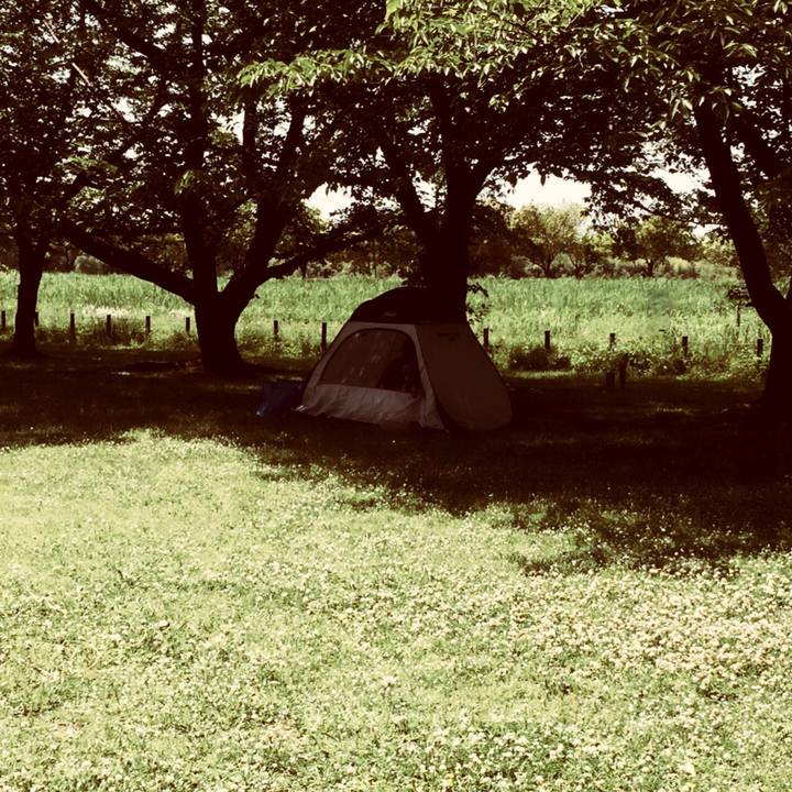 187ff1e9 263f 4072 8470 1f822eb6b060 1525693320573