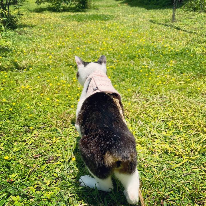 188055aa f442 48f9 a3e6 43d3d53c8093 1622541128439