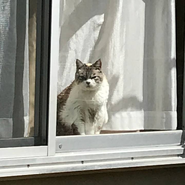 188065be 9123 4082 add4 8d2218677597 1525508024009