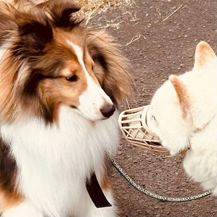 18806e67 cdef 4f6c 84d4 c7e201c15c8e 1752441116363