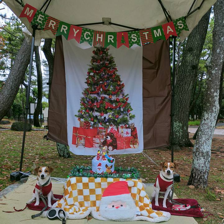 1880993e de95 4613 918d b78d7a127ef2 1766307671780