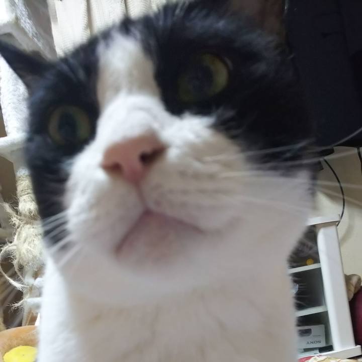 1881029c 39b2 4798 92f8 cd492dd619bc 1566165143075