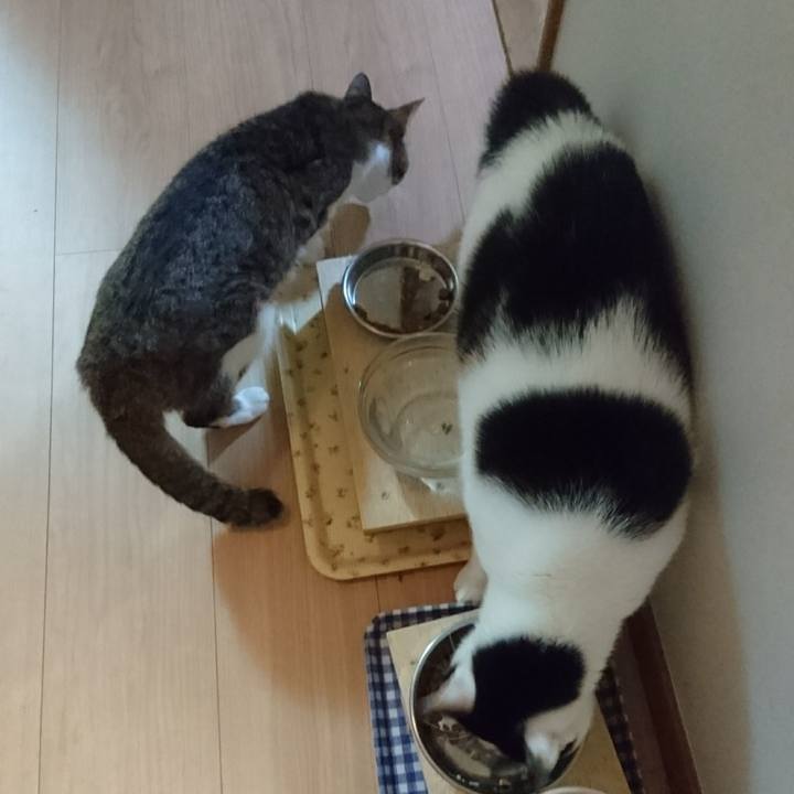 18811b63 db65 41ba a299 fd2e150d4adb 1517140420361