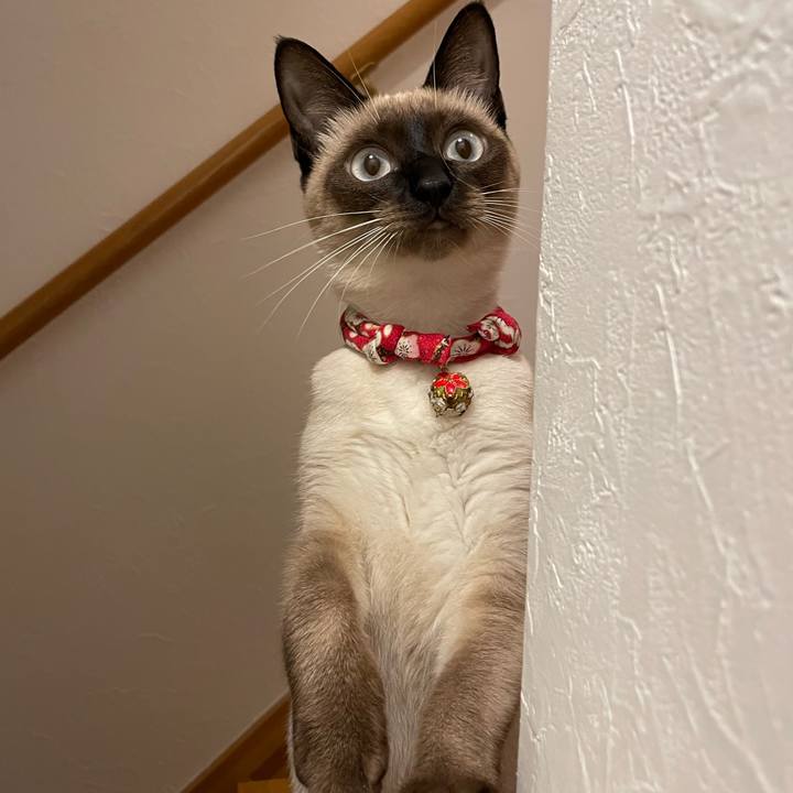 18818b62 541f 4159 a998 e7a393cfb031 1702927383496