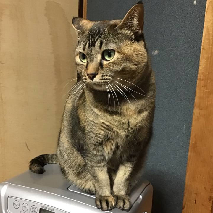 1881b087 0ba9 4f5e 86ac 40a3bb24d829 1708682609599