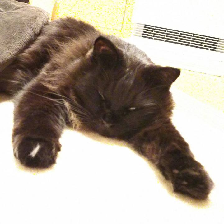 1881cb9b c086 4bb7 8c3f 7c001b7b42bc 1516624021680