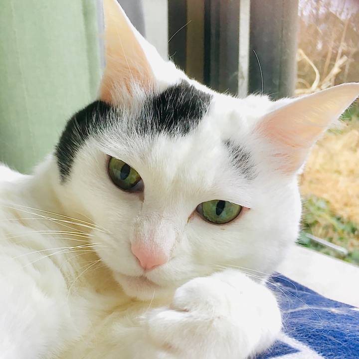 1881cc38 ea40 4edc 85c7 d3bc6c7bf6cf 1582361720817