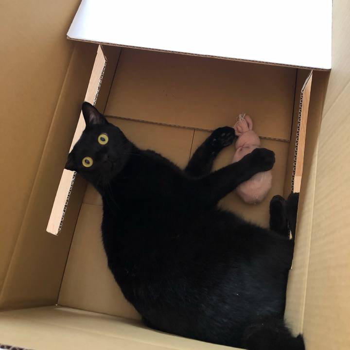 1881e378 2745 4715 94cd aad57e3953fa 1546243879136