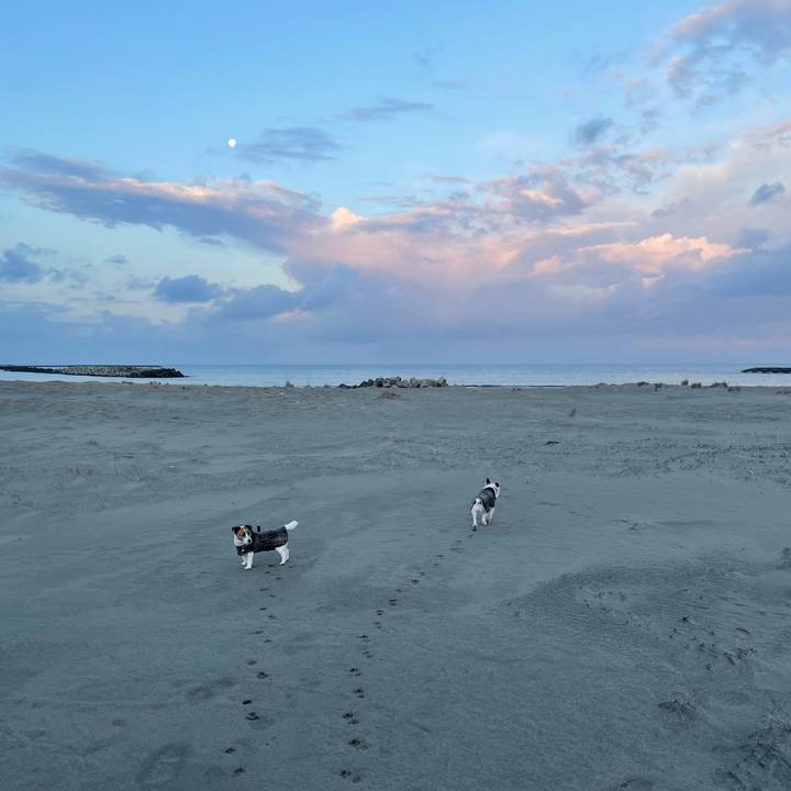 1881f38d e832 49d3 b875 e8e29af85430 1770274444297