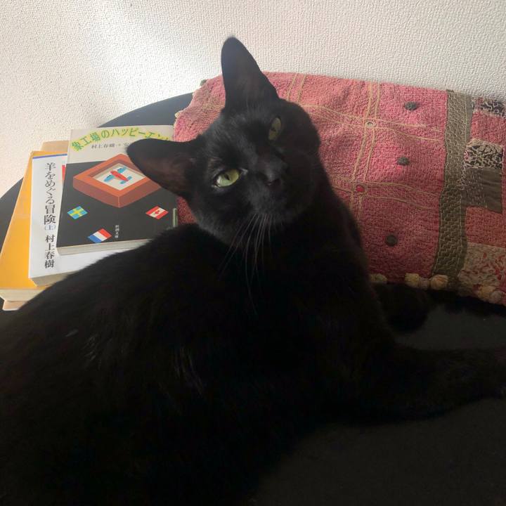 1882217e c144 497b 82f9 2dc65026360b 1578788921125