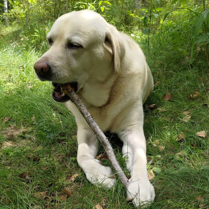 18827759 d1ff 4b10 b536 1e46fd4d84a0 1691924556290