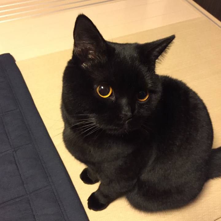 18827bc0 3e4c 44a9 abe9 bdc84a780afd 1516612294720