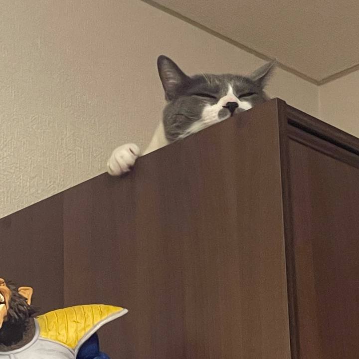 1883140a 2899 4478 825f 67e456731536 1626949591625