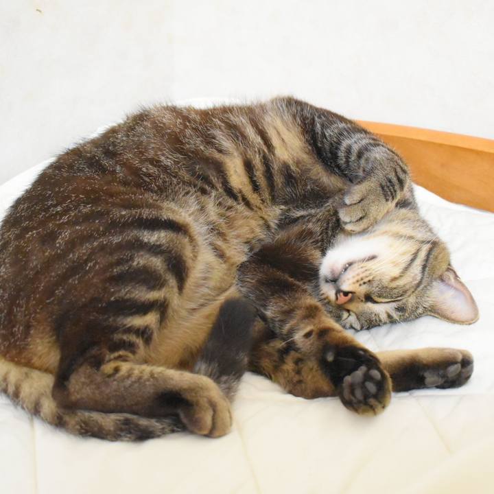 188353e3 154b 4930 b432 918c360b6197 1527388882403