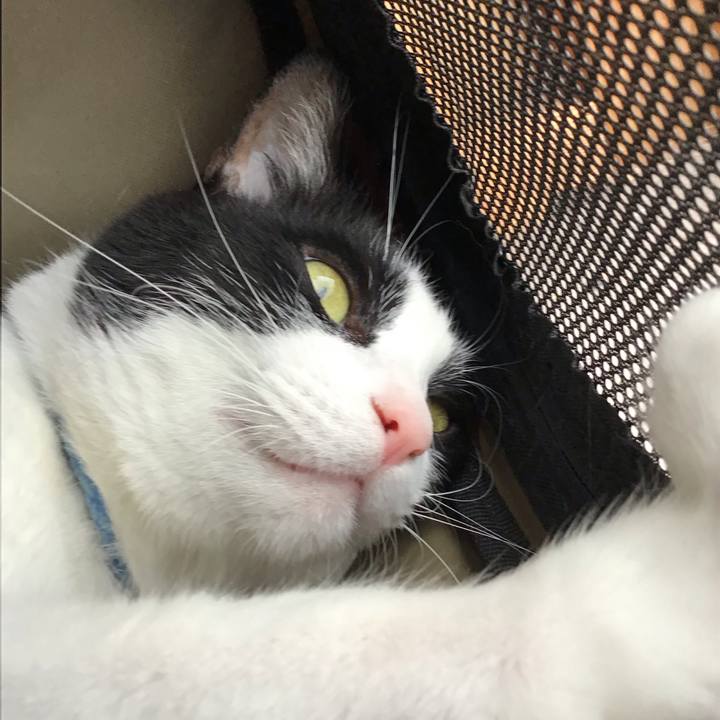 188359c0 01d8 4307 af44 e5c332b1badc 1719476828130