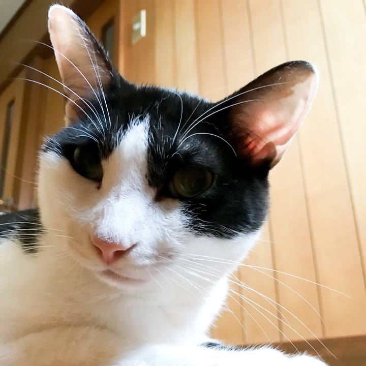 18835d1c ac0c 4c9f 9e37 28a2f521ba42 1534600661613