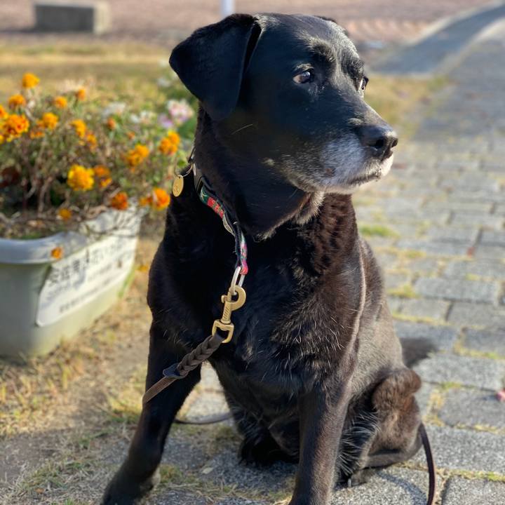 188373b8 1641 496b ae5f 2bf672efbfa6 1574134623217