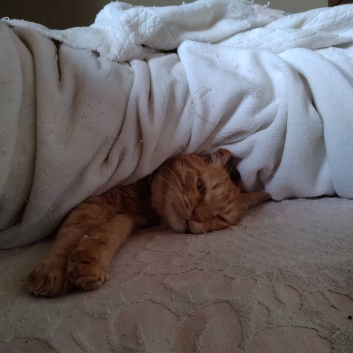 188376bd b446 426b 9513 a2d0555f9b5b 1765946238164