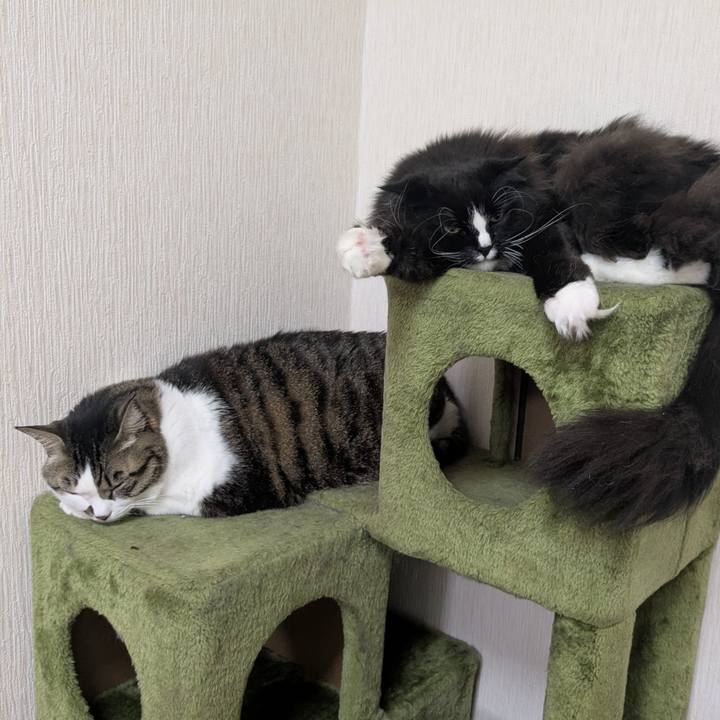 1884259d d720 47a6 b703 d7af822ea55a 1742295685417