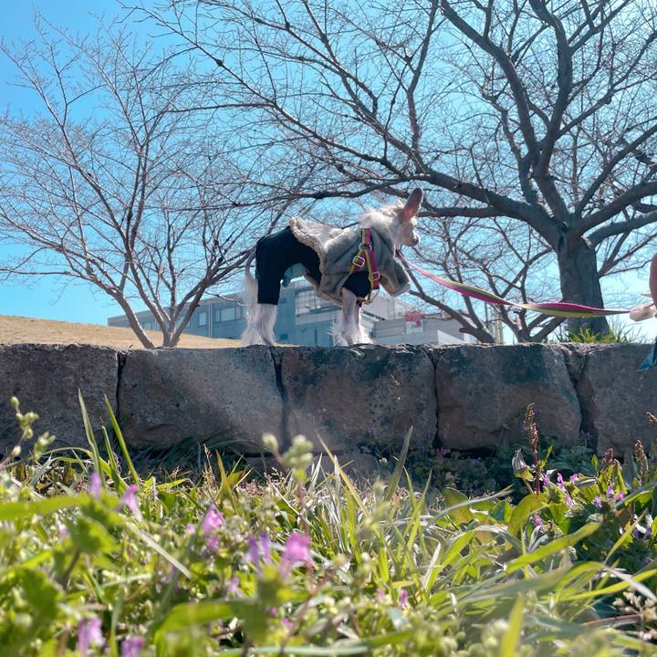 18844fbb 13fa 4389 ba0e f2a660e51915 1773636109634