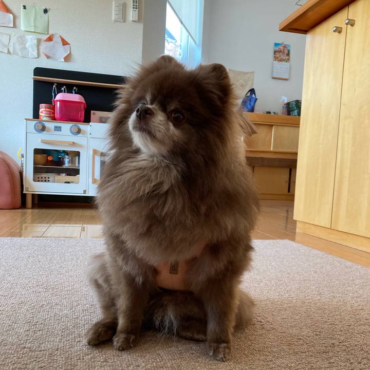 18848fb1 6346 4e87 898a 0941249a25a2 1680988167194