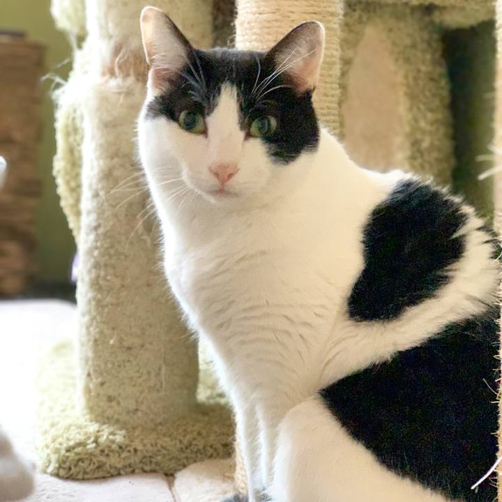 1884a13f 3c02 452b b16a 793a4edfcf80 1547257399557