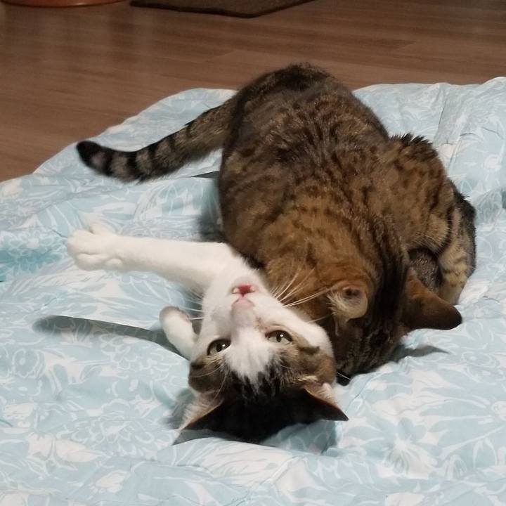 1884c7a2 205e 45d4 9464 8dab1770a42b 1554090514744