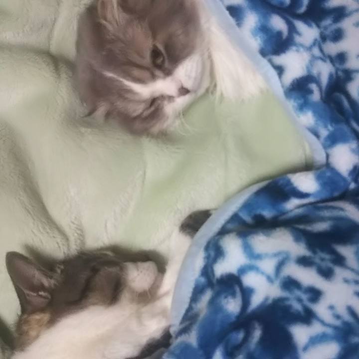 1884cc87 2a90 43dc a419 bca1f70d3665 1638031345539