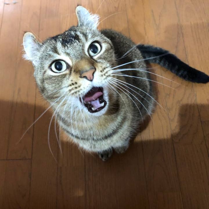 1884d886 8362 4dee b5c0 845ad3e0ca12 1603978739361