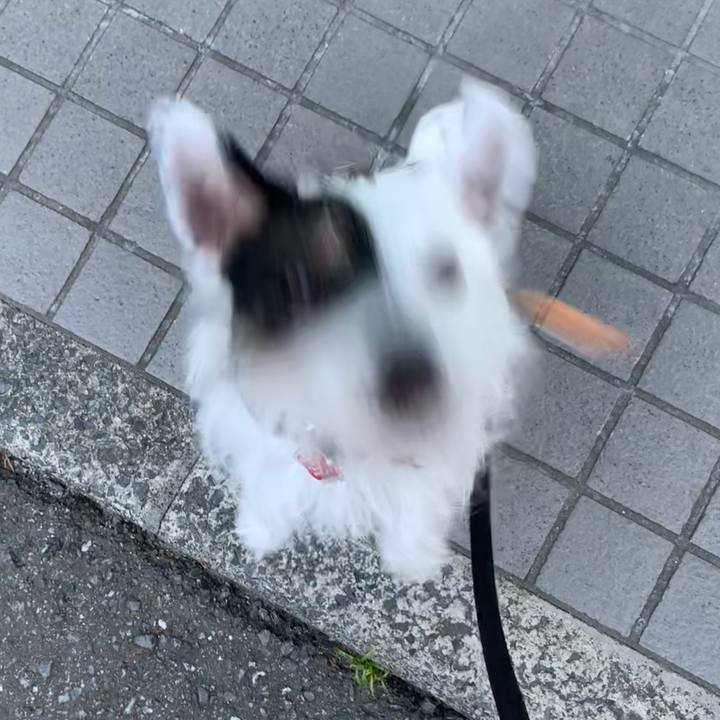 1884f5af 58dd 4f4e 9052 f9708636539c 1693559454865