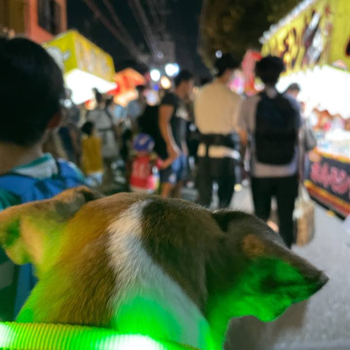 1885098a ee57 4aa5 b3cb 4f643e49a3af 1695036894510