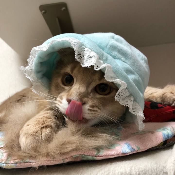 18850dc2 c28a 470f bfaa c976a612a167 1545647297777