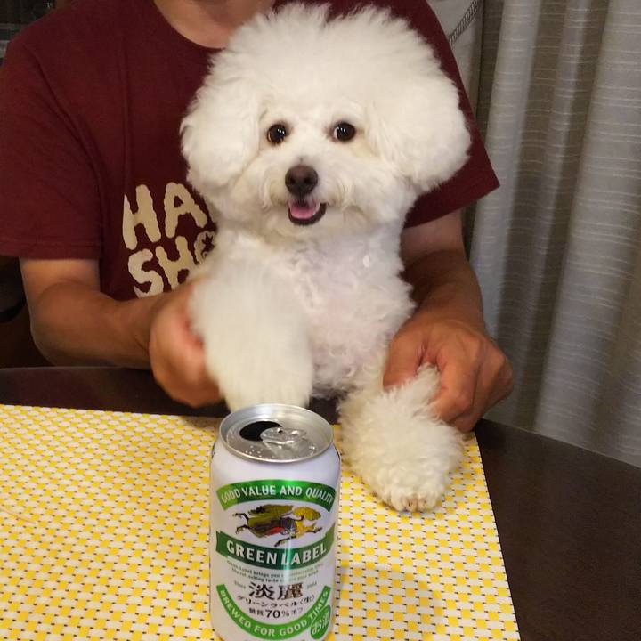 18851c2c 2faa 41f6 936f abf3dec047b7 1531050912068