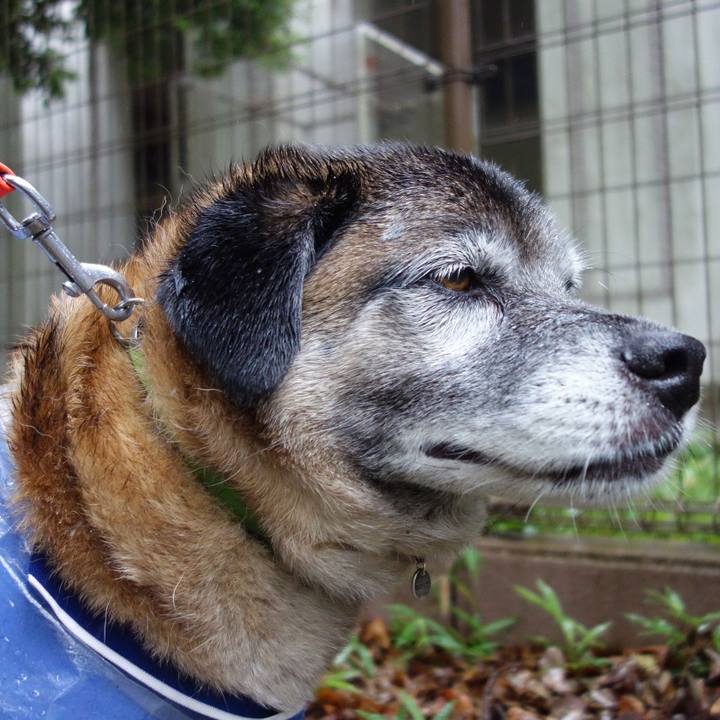 18856ce3 51a1 4647 a786 29f6bded391f 1670980603324