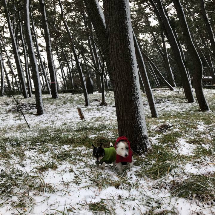 188582f4 75f5 4572 a632 ea08c1454b1c 1548995856066