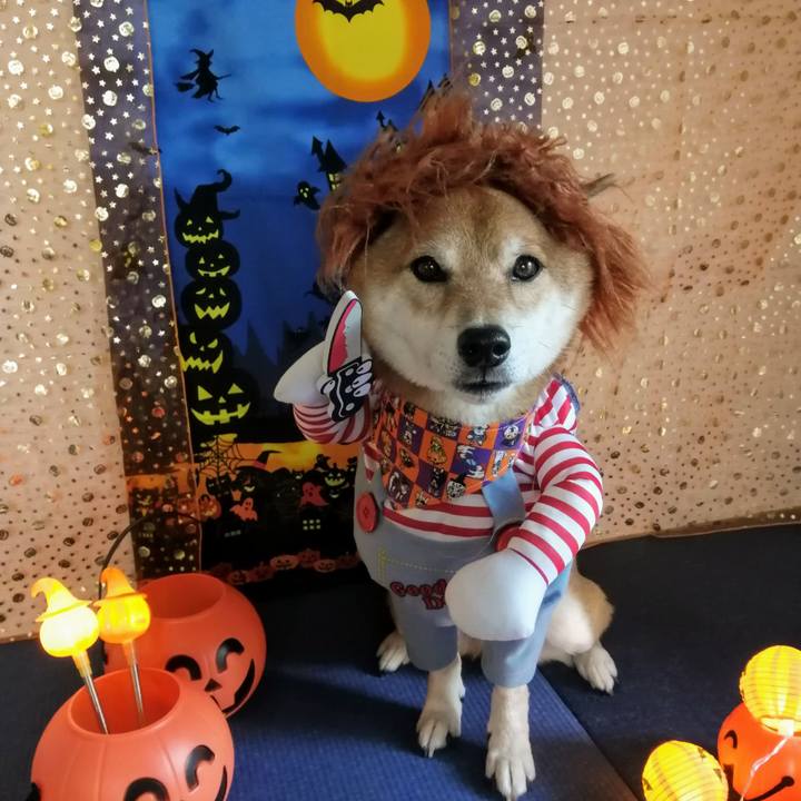 1885a900 0d6f 43ca b3f5 ca78fb0c994e 1633263009870