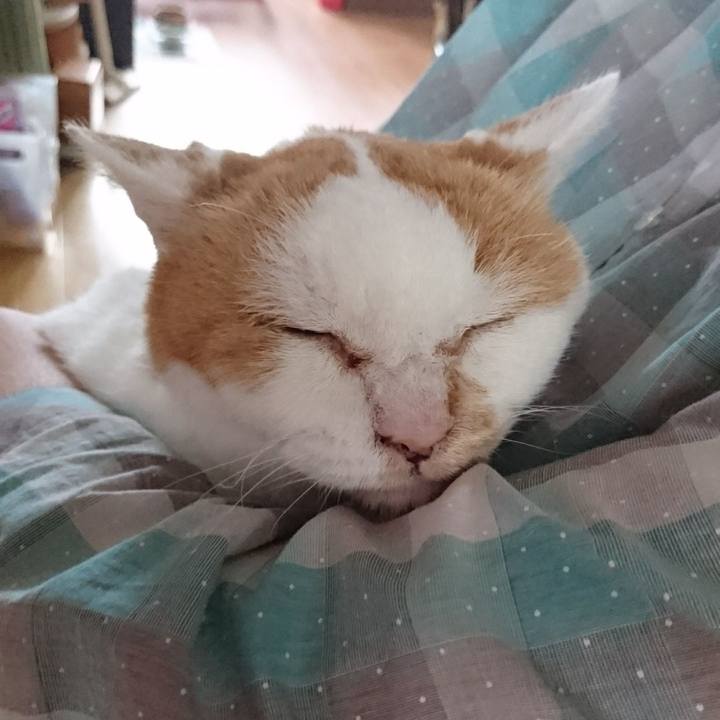 1886125d 5f95 4a9d 98ea c48ab7aaf40f 1629600893448