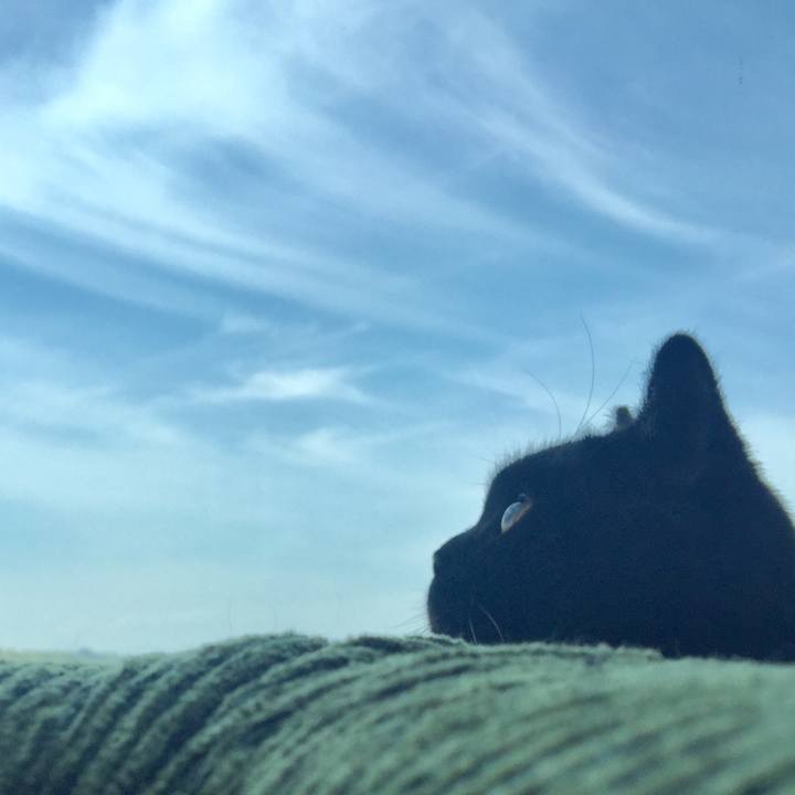 18865de0 b3b4 42d1 ad32 f4a5c00cb8bd 1525561061609