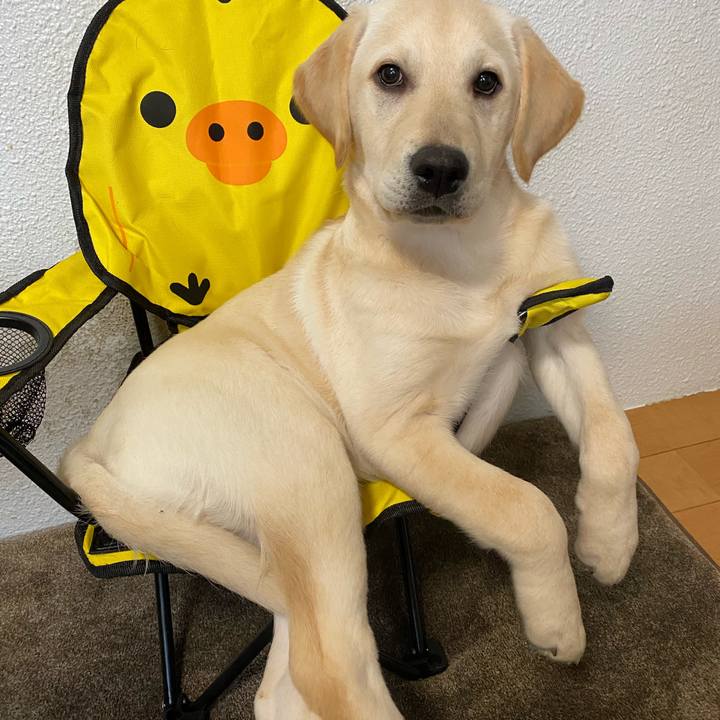 1886836f c1dc 4209 9292 435c117e4c52 1615513321794